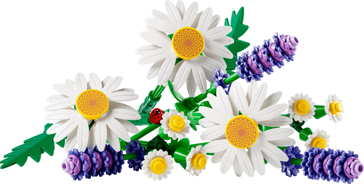 LEGO sættet Daisies