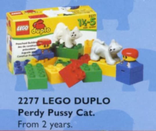LEGO sættet Boy with Cat