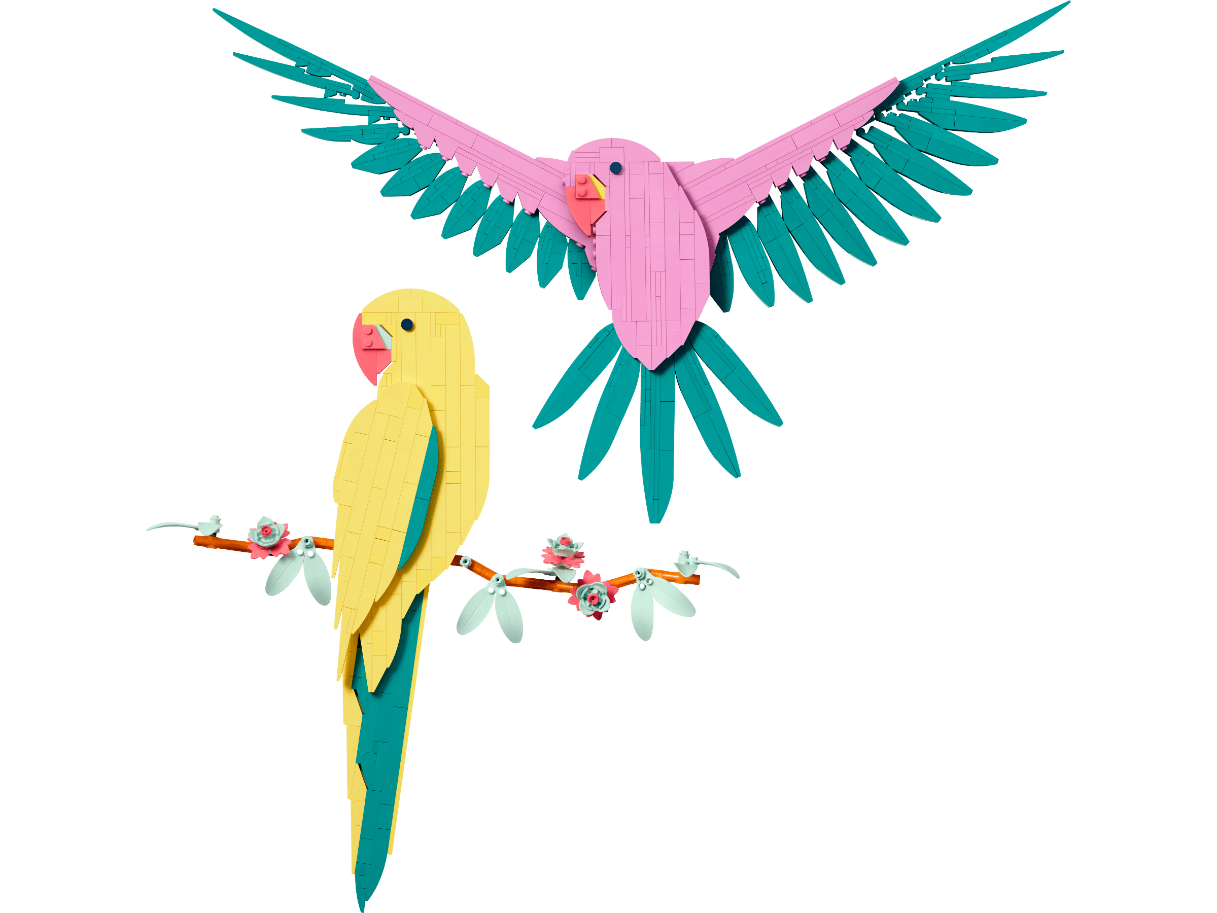 LEGO sættet Macaw Parrots