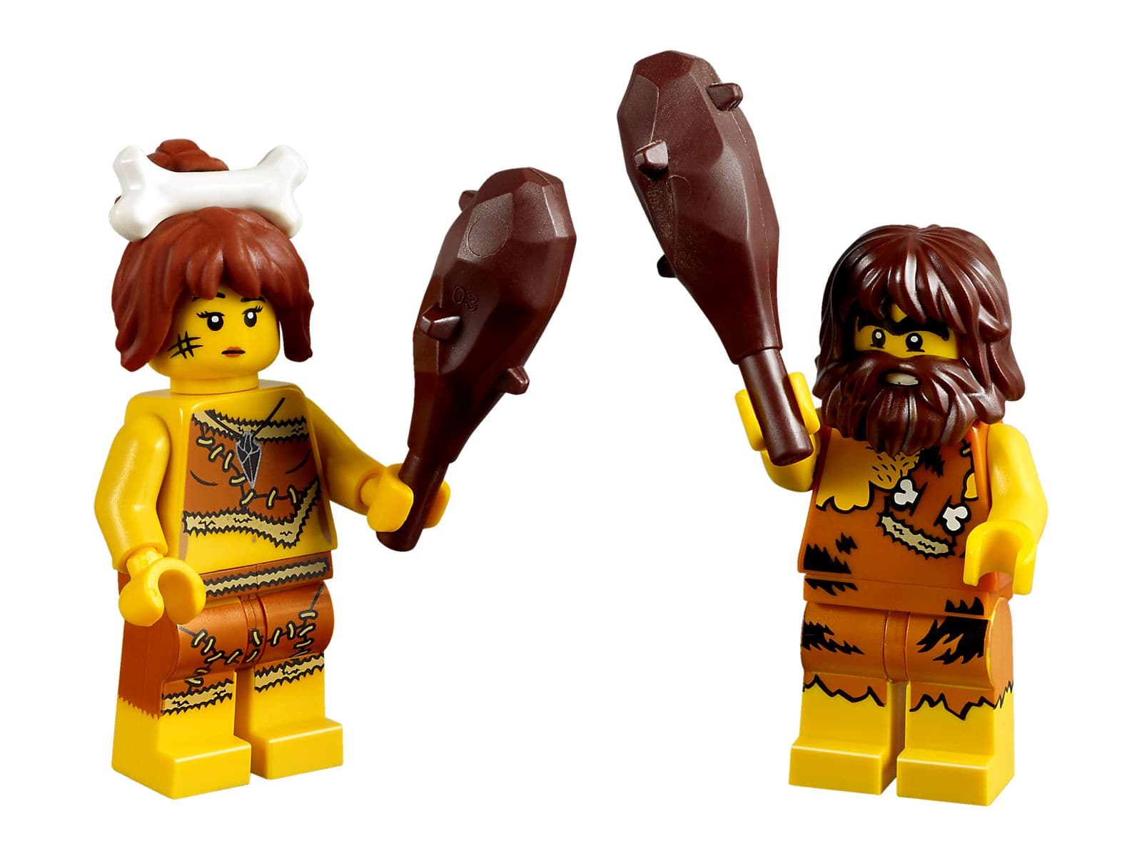 LEGO sættet Iconic Cave