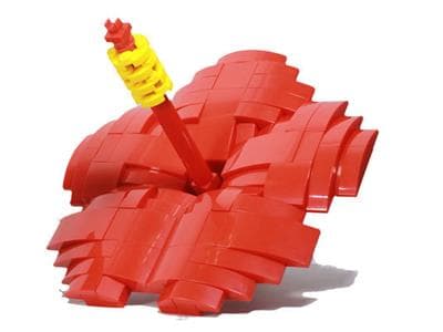 LEGO sættet Malaysia: Bunga Raya