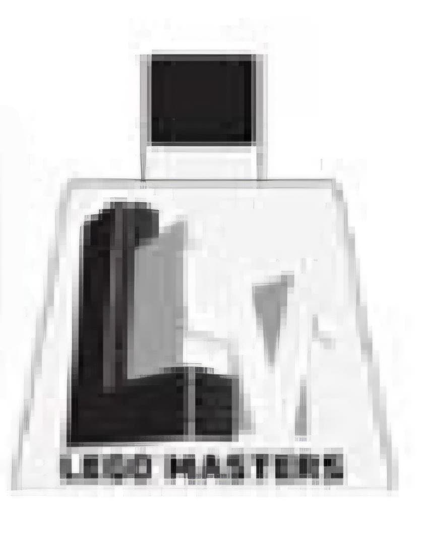 LEGO sættet LEGO Masters Torso - Black and White