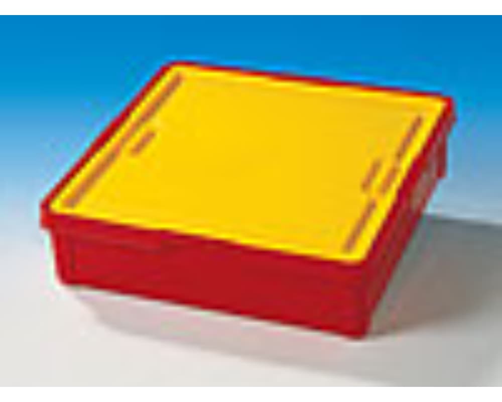 LEGO sættet Large Storage Bin