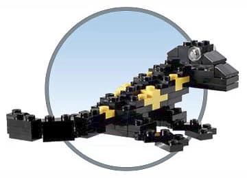 LEGO sættet LEGO Store Grand Opening Exclusive Set, Easton Town Center, Columbus, OH